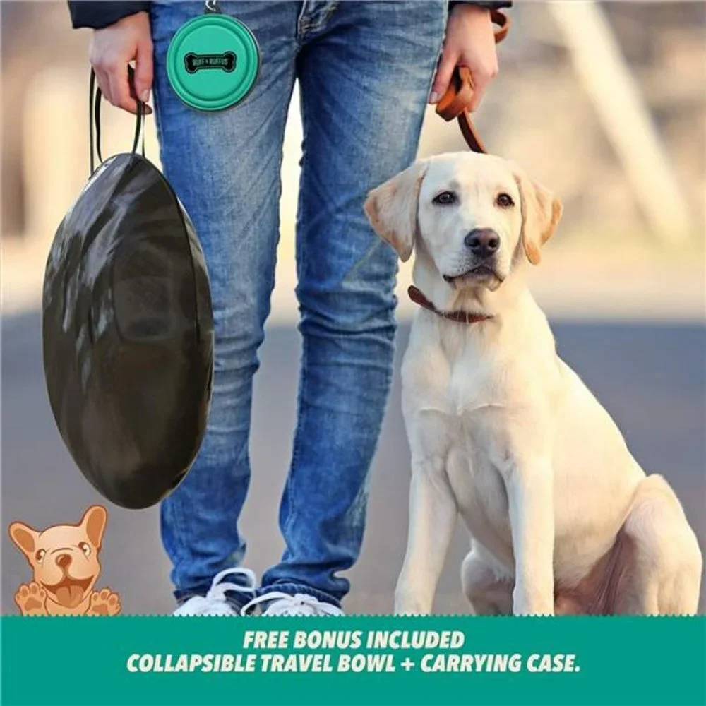 Portable Foldable Pet Playpen (Medium ( 36x36x23 inches), Aqua (Blue))